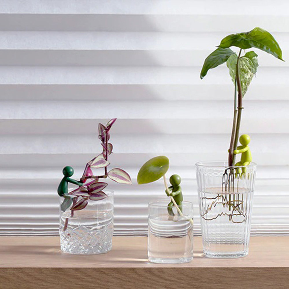 Peleg Peleg - stekjeshouder - leafriend Peleg Peleg - stekjeshouder - leafriend