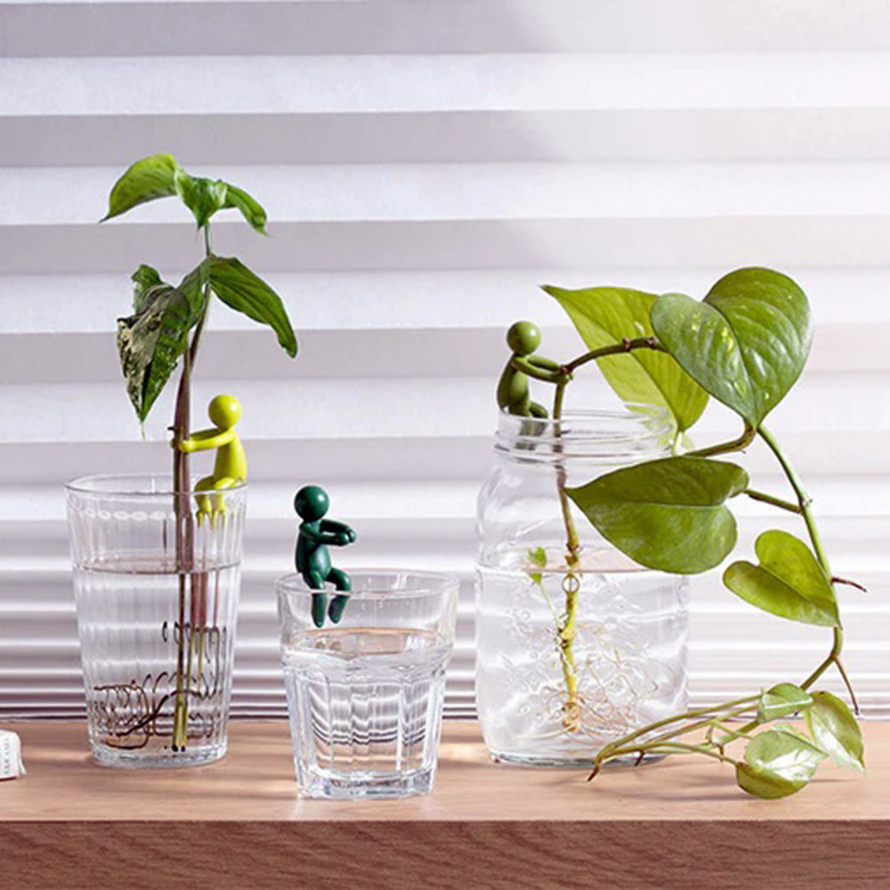 Peleg Peleg - stekjeshouder - leafriend Peleg Peleg - stekjeshouder - leafriend