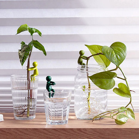 Peleg Peleg - stekjeshouder - leafriend Peleg Peleg - stekjeshouder - leafriend