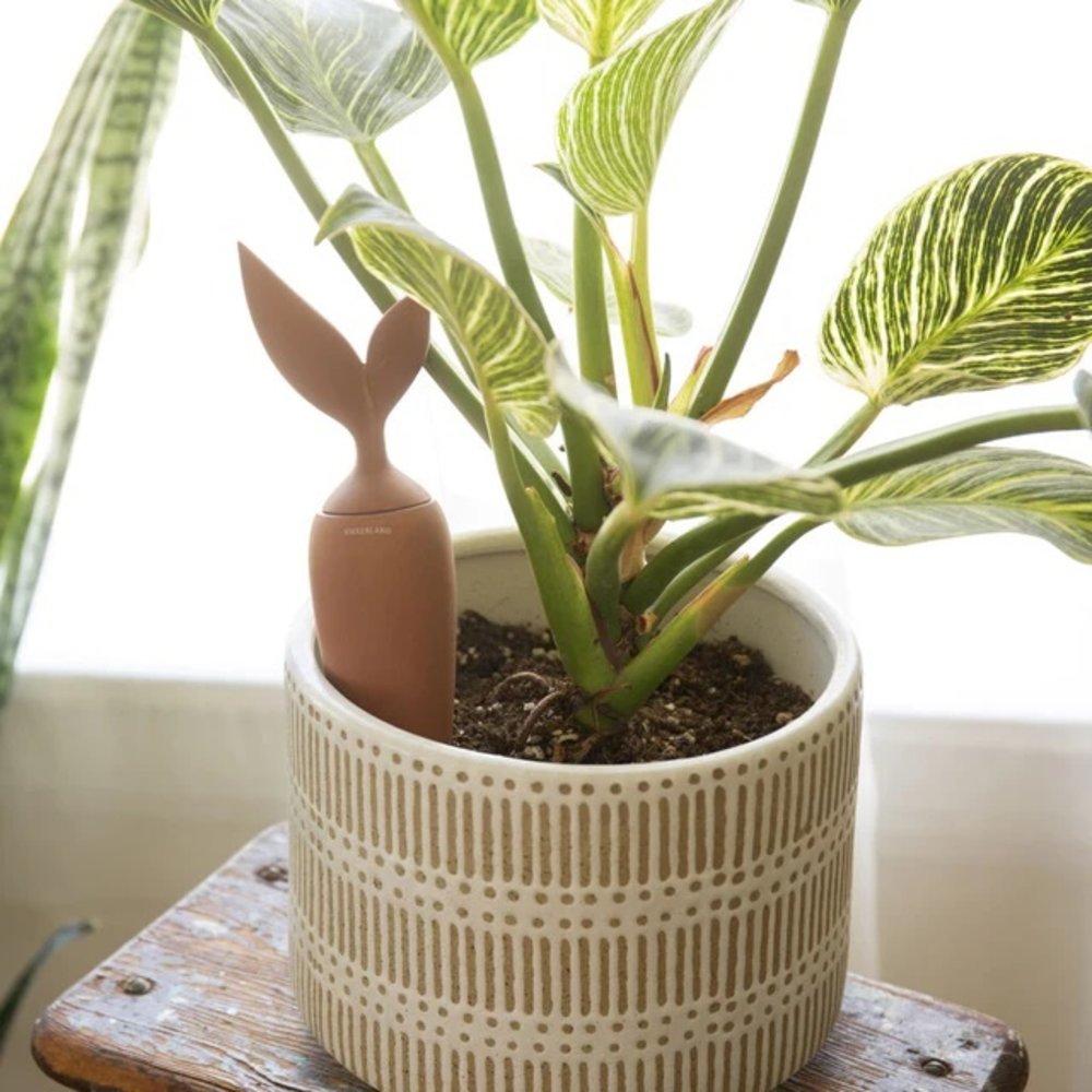 Kikkerland Kikkerland - waterdruppelaar - terracotta Kikkerland Kikkerland - waterdruppelaar - terracotta