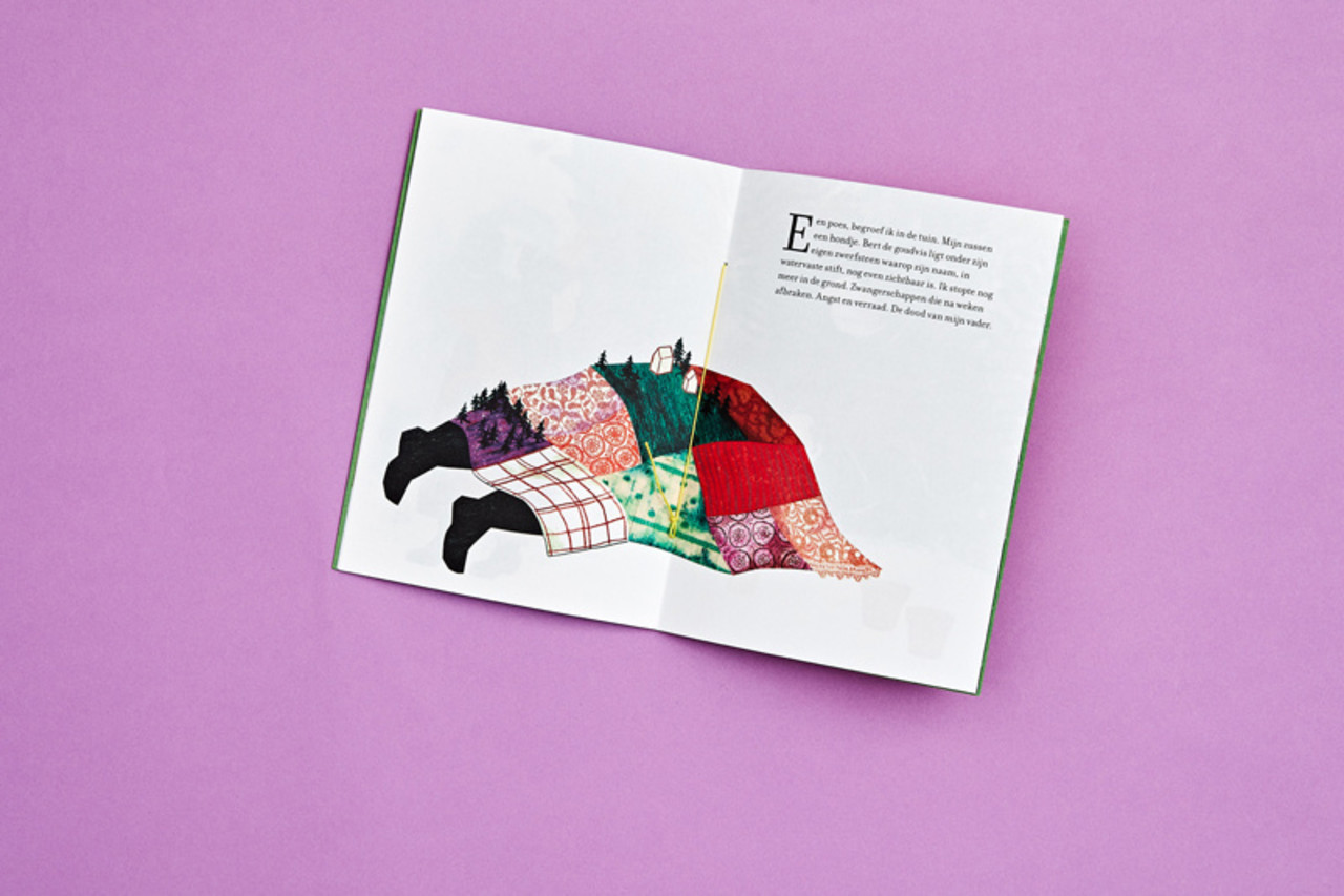 Loopvis Kakkerlakje - literatuur - ondersteboven tussen de petunia's (nr 30) Loopvis Kakkerlakje - literatuur - ondersteboven tussen de petunia's (nr 30)