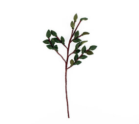 Sjaal met verhaal Sjaal met verhaal - tak - groene blaadjes