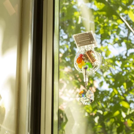 Kikkerland Kikkerland - regenboogmaker