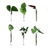 Muurbloempjes Muurbloempjes - magnetisch muurvaasje (6 stuks) - transparant