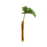 Muurbloempjes Muurbloempjes - magnetisch muurvaasje (1 stuk) - amber