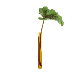 Muurbloempjes Muurbloempjes - magnetisch muurvaasje (1 stuk) - amber