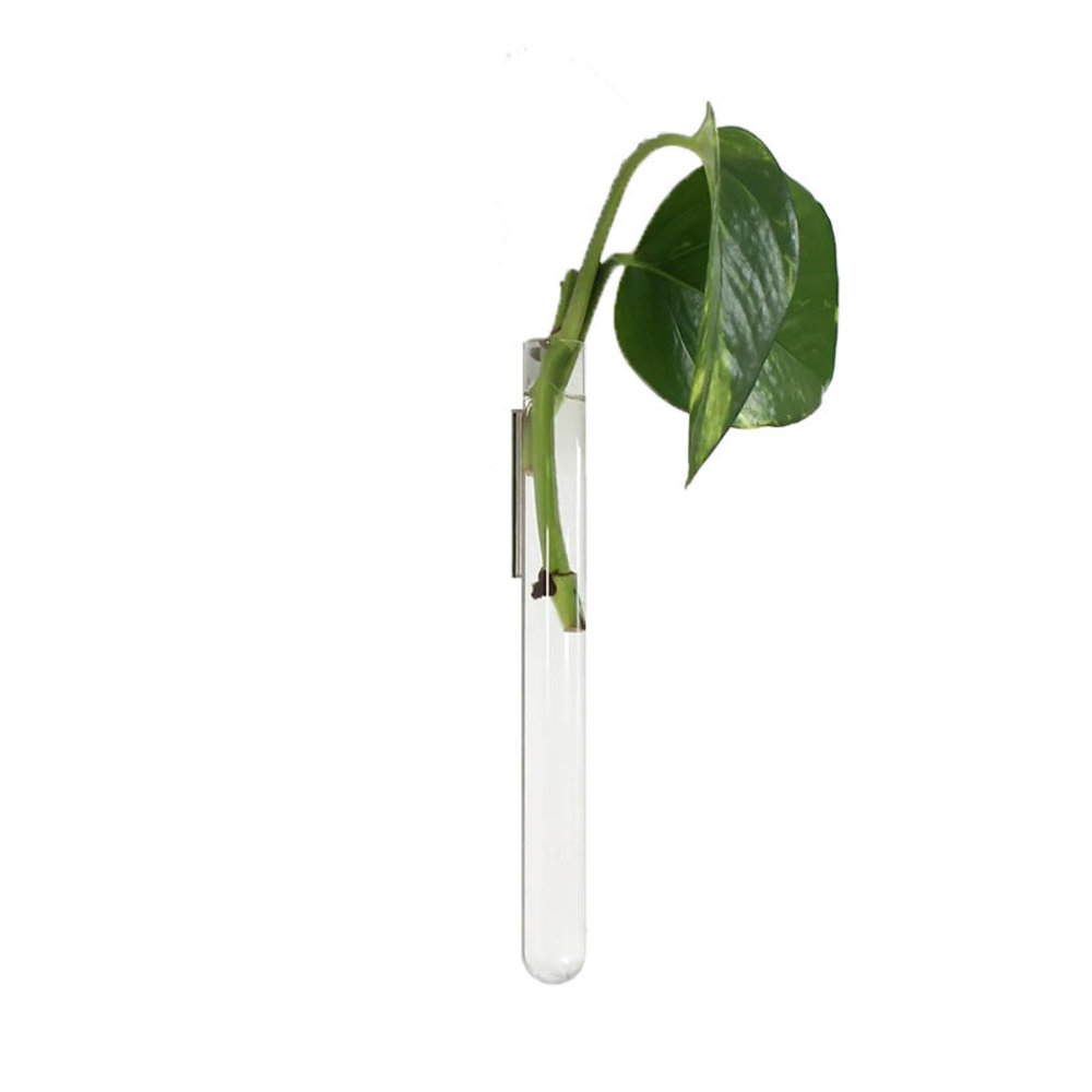 Muurbloempjes Muurbloempjes - magnetisch muurvaasje (1 stuk) - transparant