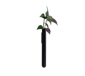 Muurbloempjes Muurbloempjes - magnetisch muurvaasje (1 stuk) - black Muurbloempjes Muurbloempjes - magnetisch muurvaasje (1 stuk) - black