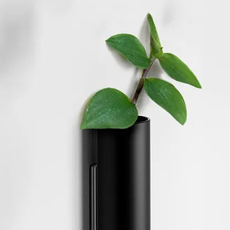 Muurbloempjes Muurbloempjes - magnetisch muurvaasje (1 stuk) - black Muurbloempjes Muurbloempjes - magnetisch muurvaasje (1 stuk) - black