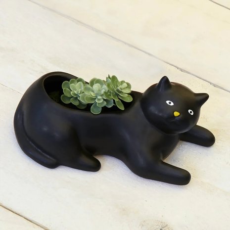 Kikkerland Kikkerland - plantenpot - cosmo zwarte kat
