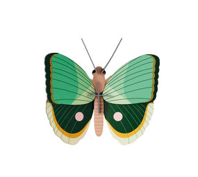 Studio Roof Studio Roof - muurdecoratie - fern striped butterfly Studio Roof Studio Roof - muurdecoratie - fern striped butterfly