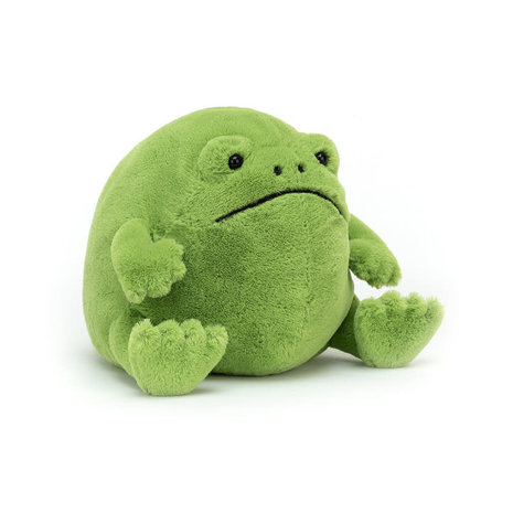Jellycat Jellycat - knuffel kikker - ricky rain frog