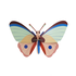 Studio Roof - muurdecoratie - cattleheart butterfly Studio Roof - muurdecoratie - cattleheart butterfly