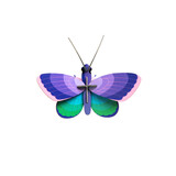 Studio Roof Studio Roof - muurdecoratie - blue copper butterfly Studio Roof Studio Roof - muurdecoratie - blue copper butterfly
