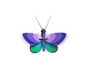 Studio Roof Studio Roof - muurdecoratie - blue copper butterfly Studio Roof Studio Roof - muurdecoratie - blue copper butterfly