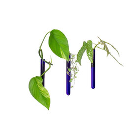 Muurbloempjes Muurbloempjes - magnetisch muurvaasje (3 stuks) - blue