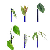 Muurbloempjes Muurbloempjes - magnetisch muurvaasje (6 stuks) - blue