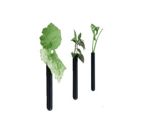 Muurbloempjes Muurbloempjes - magnetisch muurvaasje (3 stuks) - black