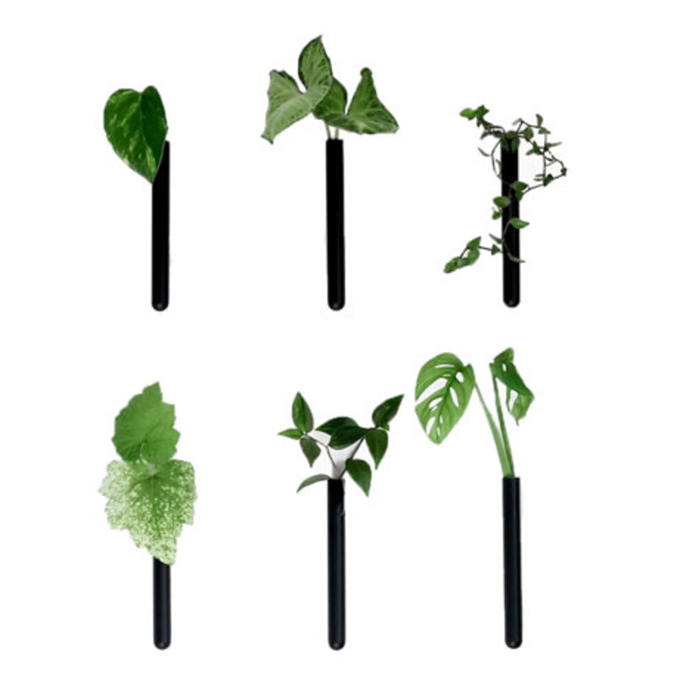 Muurbloempjes Muurbloempjes - magnetisch muurvaasje (6 stuks) - black Muurbloempjes Muurbloempjes - magnetisch muurvaasje (6 stuks) - black