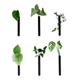 Muurbloempjes Muurbloempjes - magnetisch muurvaasje (6 stuks) - black