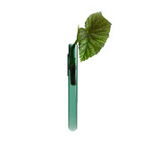 Muurbloempjes Muurbloempjes - magnetisch muurvaasje (1 stuk) - teal