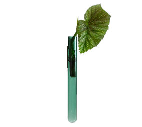 Muurbloempjes Muurbloempjes - magnetisch muurvaasje (1 stuk) - teal