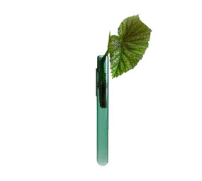 Muurbloempjes Muurbloempjes - magnetisch muurvaasje (1 stuk) - teal Muurbloempjes Muurbloempjes - magnetisch muurvaasje (1 stuk) - teal