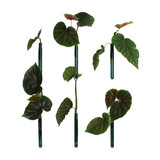 Muurbloempjes Muurbloempjes - magnetisch muurvaasje (6 stuks) - teal