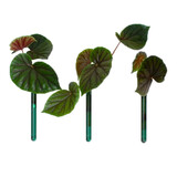 Muurbloempjes Muurbloempjes - magnetisch muurvaasje (3 stuks) - teal