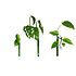 Muurbloempjes - magnetisch muurvaasje (3 stuks) - green Muurbloempjes - magnetisch muurvaasje (3 stuks) - green