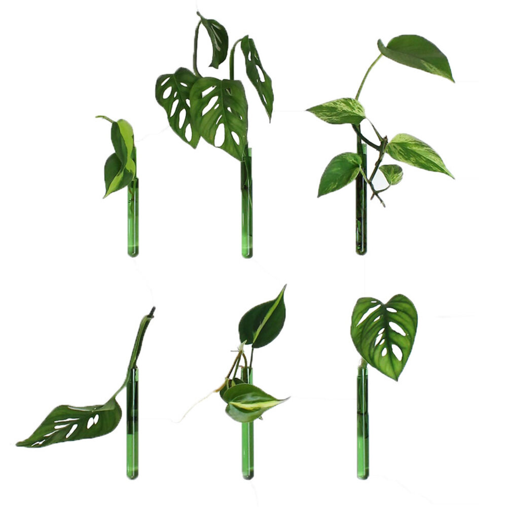 Muurbloempjes Muurbloempjes - magnetisch muurvaasje (6 stuks) - groen Muurbloempjes Muurbloempjes - magnetisch muurvaasje (6 stuks) - groen