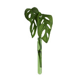 Muurbloempjes Muurbloempjes - magnetisch muurvaasje (1 stuk) - green Muurbloempjes Muurbloempjes - magnetisch muurvaasje (1 stuk) - green