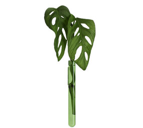 Muurbloempjes Muurbloempjes - magnetisch muurvaasje (1 stuk) - green