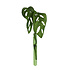 Muurbloempjes - magnetisch muurvaasje (1 stuk) - green Muurbloempjes - magnetisch muurvaasje (1 stuk) - green