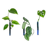 Muurbloempjes Muurbloempjes - magnetisch muurvaasje (3 stuks) - light blue