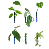 Muurbloempjes Muurbloempjes - magnetisch muurvaasje (6 stuks) - light blue