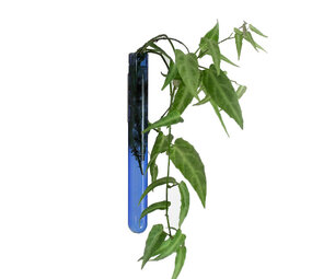 Muurbloempjes Muurbloempjes - magnetisch muurvaasje (1 stuk) - light blue