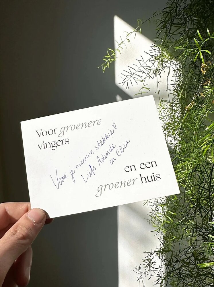 Muurbloempjes Muurbloempjes - magnetisch muurvaasje (6 stuks) - lichtblauw