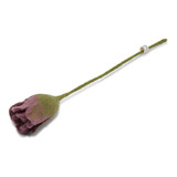 Gry & Sif Gry & sif - bloem tulp - purple Gry & Sif Gry & sif - bloem tulp - purple