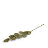 Gry & Sif Gry & sif - tak - sharp groen Gry & Sif Gry & sif - tak - sharp groen