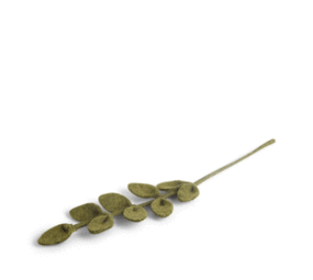 Gry & Sif Gry & sif - tak - sharp groen Gry & Sif Gry & sif - tak - sharp groen