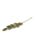 Gry & sif - tak - sharp groen Gry & sif - tak - sharp groen