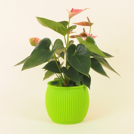 Living by Colors Living by colors - silicone bloempot chubby - apple grreen