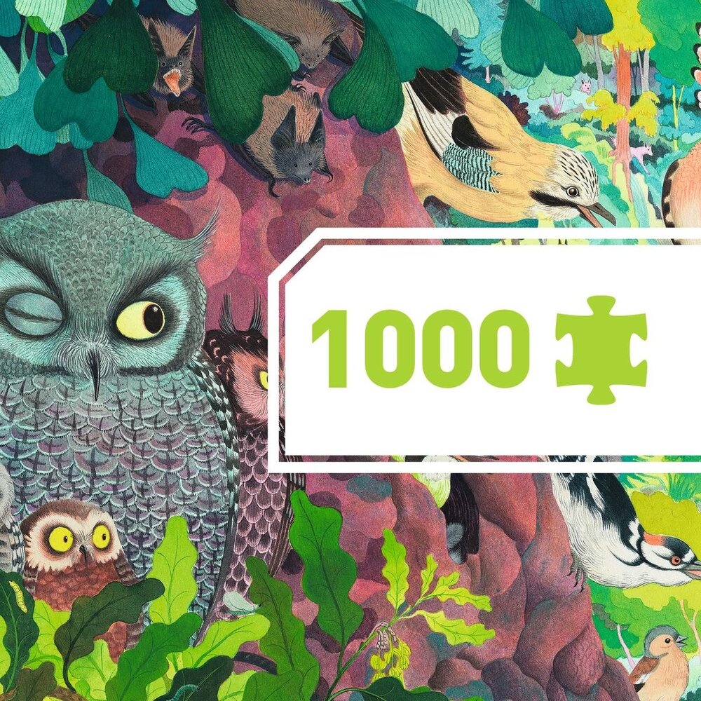 Djeco Djeco - puzzel - owls and birds (1000 stukjes) Djeco Djeco - puzzel - owls and birds (1000 stukjes)