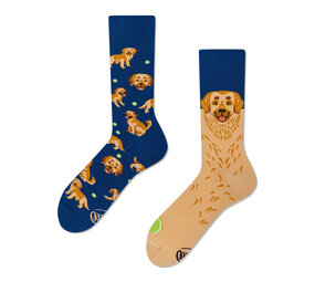 Many mornings Many mornings - sokken - golden boy