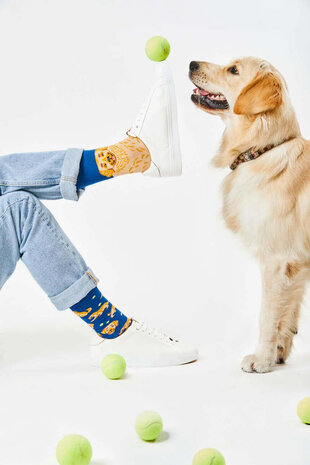 Many mornings Many mornings - sokken - golden boy Many mornings Many mornings - sokken - golden boy