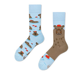 Many mornings Many mornings - sokken - capybara