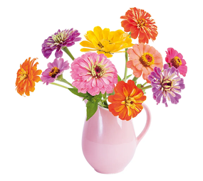 Flatflowers Flat flowers - raamsticker - zinnia (30 x 30 cm) Flatflowers Flat flowers - raamsticker - zinnia (30 x 30 cm)