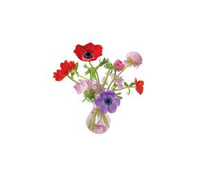 Flatflowers Flat flowers - ansichtkaart raamsticker - anemoon roze vaas (15 x 15 cm) Flatflowers Flat flowers - ansichtkaart raamsticker - anemoon roze vaas (15 x 15 cm)