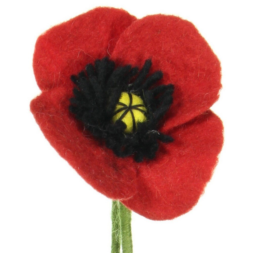 Sjaal met verhaal Sjaal met verhaal - bloem klaproos Sjaal met verhaal Sjaal met verhaal - bloem klaproos